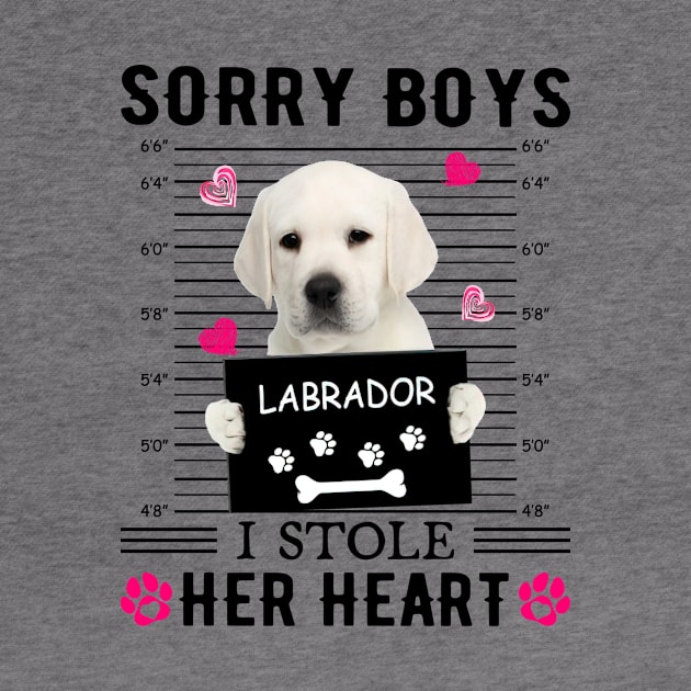 White Labrador Sorry Boys I Stole Her Heart Valentine by PlumleelaurineArt